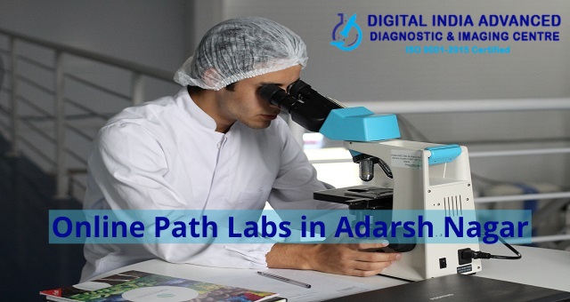 Online Path Labs in Adarsh Nagar 